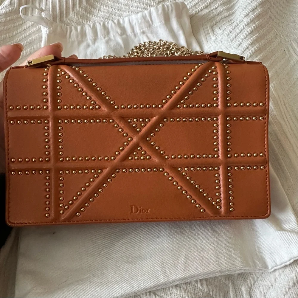 Diorama Studded Mini Bag - Picture 7 of 15